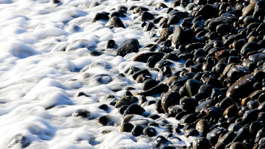 전국-해수욕장-개장일