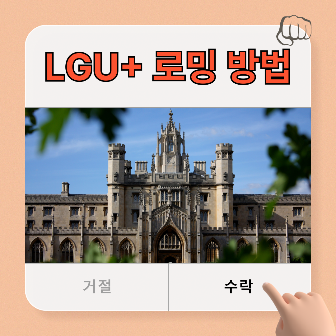 로밍 유심 휴대용 와이파이 차이점 lgu+