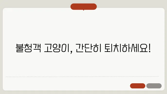 고양이 퇴치방법