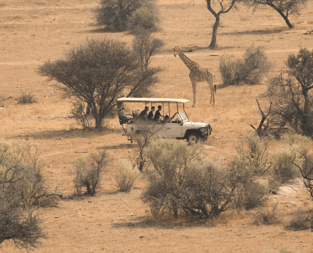 1년차 연차 개수 계산기 연차수당