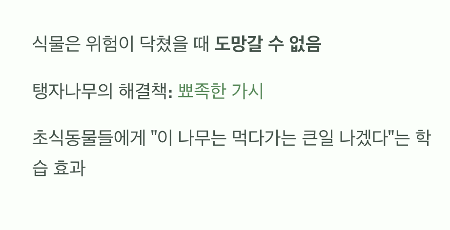 가시는 최고의 방패