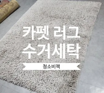 러그 세탁 드라이클리닝 표지 확인과 국소세척 요령_23
