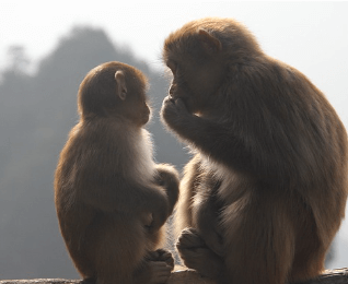 중국 장가계 7월 날씨 및 옷차림