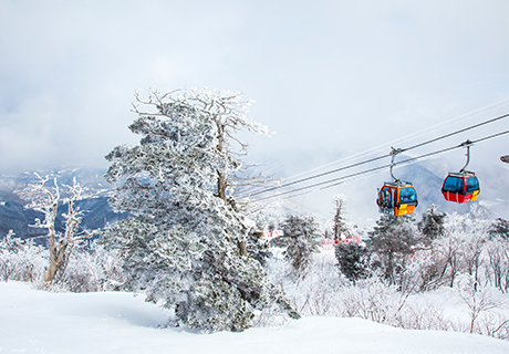 무주구름채풀빌라