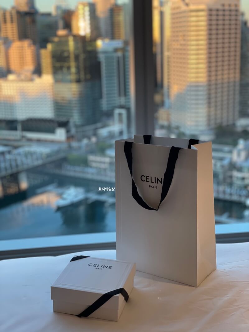 셀린느(CELINE) 스몰 트리옹프 벨트 - 착용 후기