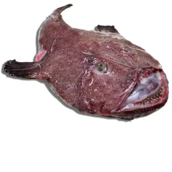 아귀찜 만드는 법 황금레시피 꿀팁_12