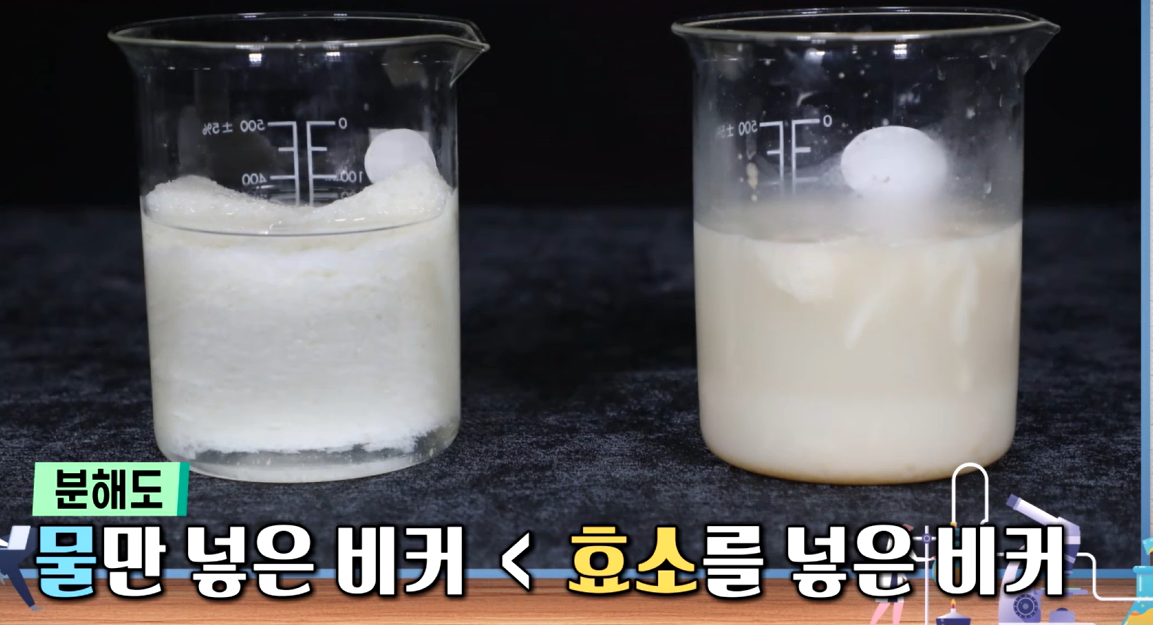 카무트 효소 효능