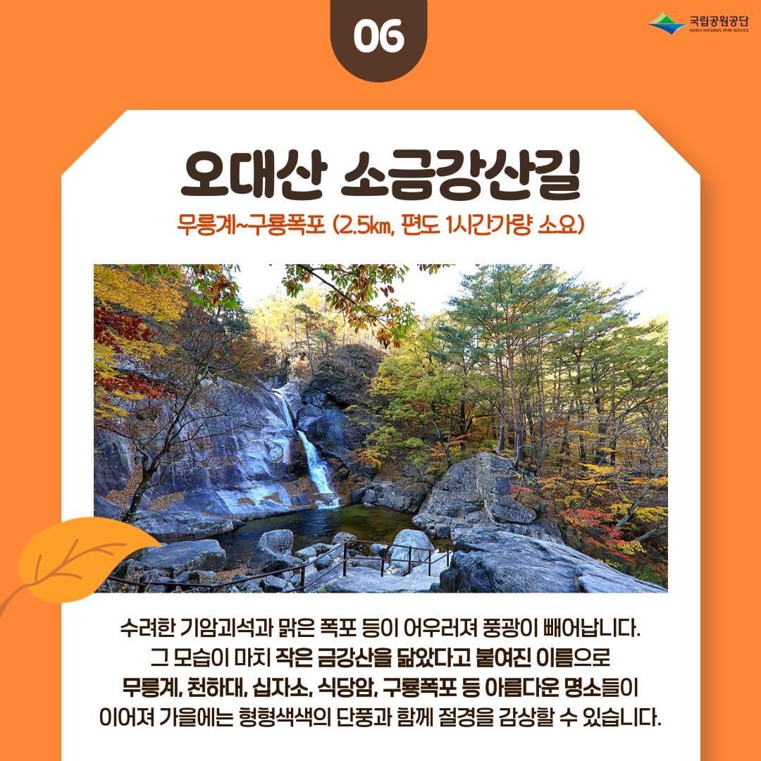 가을단풍