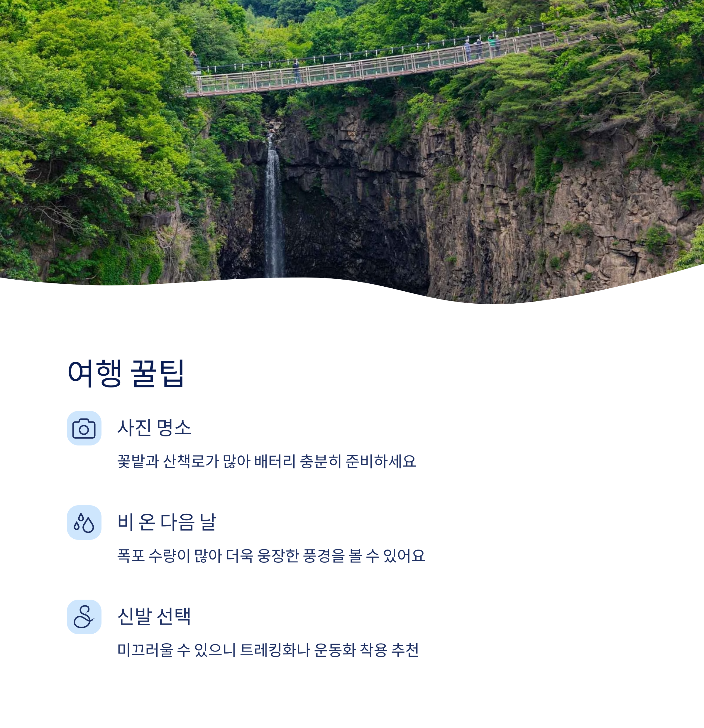 여행 꿀팁