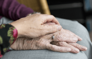 코히 의무교육 온라인 신청방법, 수료증 발급방법