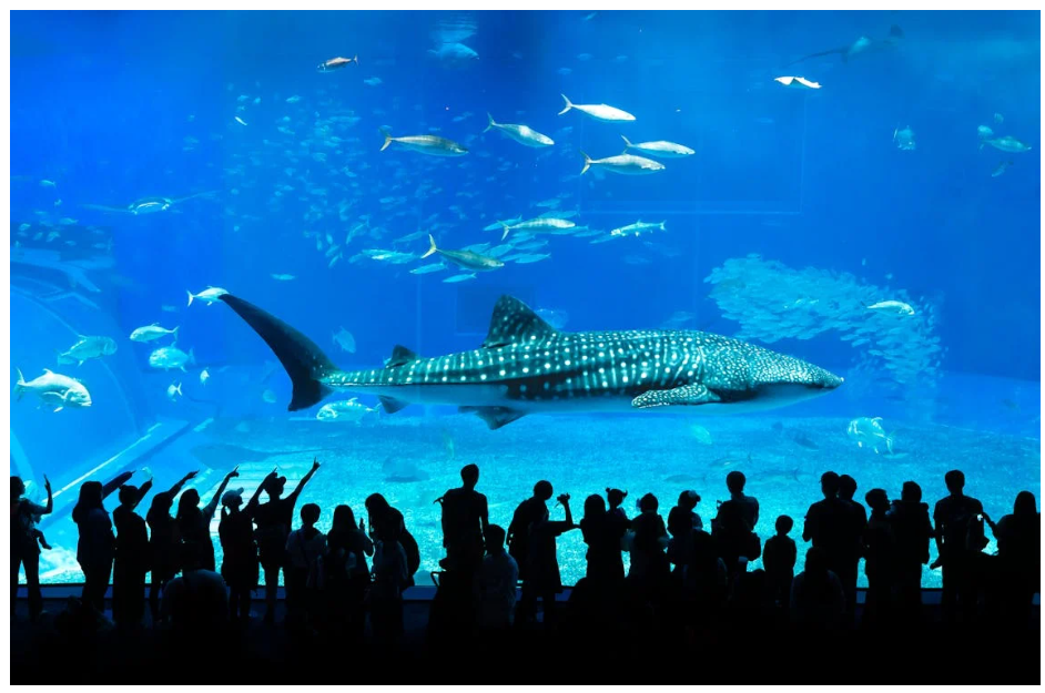 오키나와 가족여행 일정