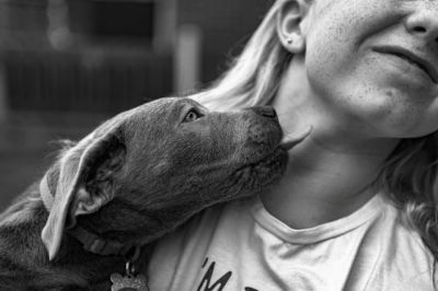 강아지가 핥는 이유