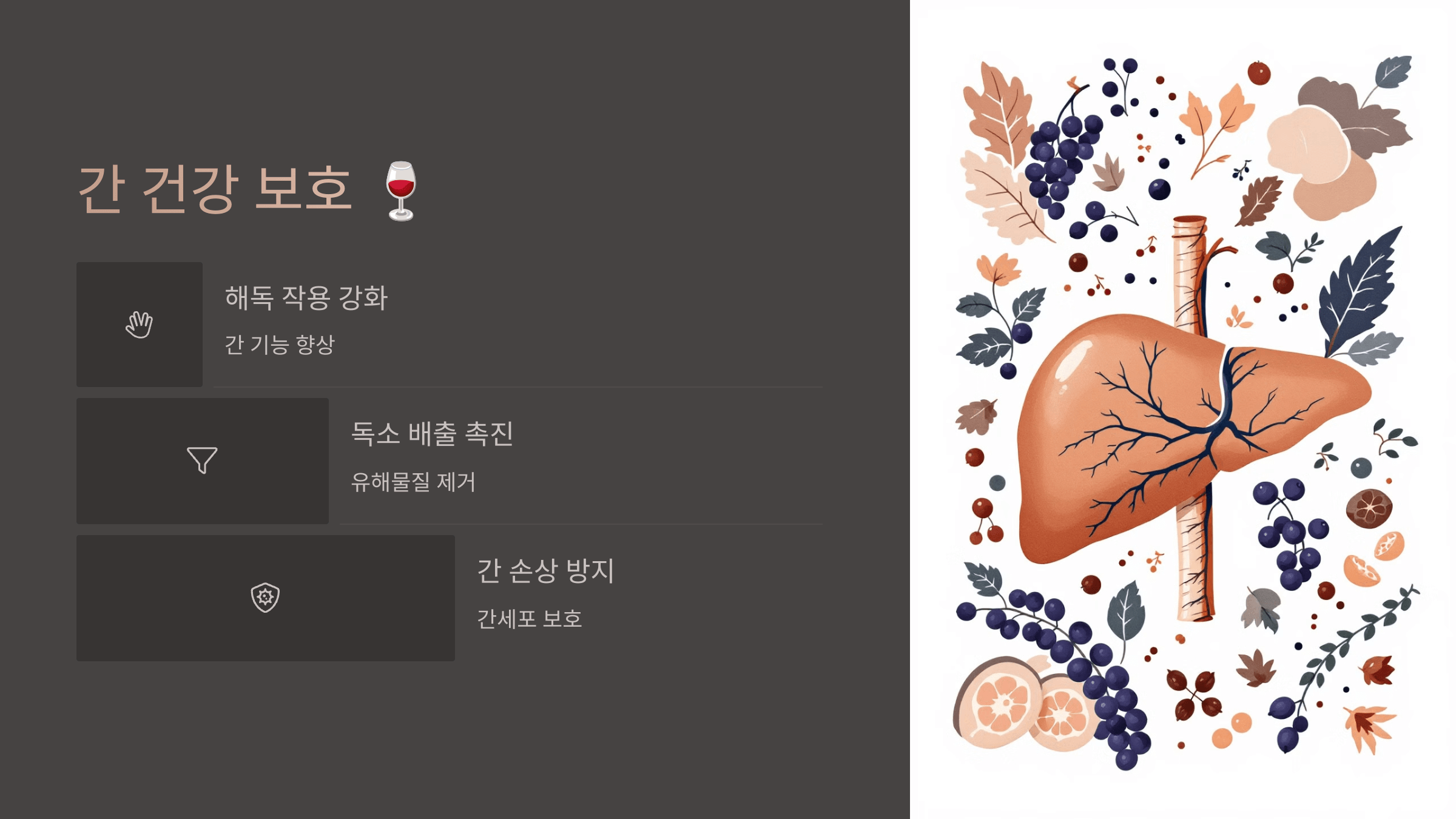 폴리페놀과 관련된 사진입니다.