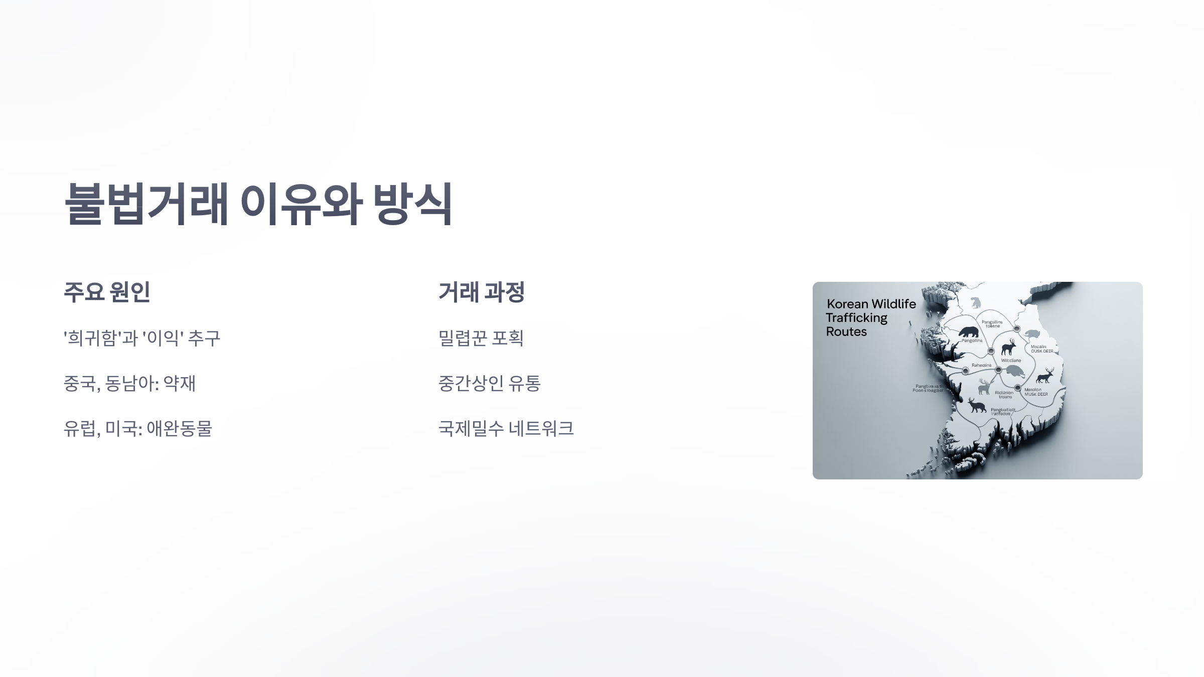 참조-야생동물-불법거래-3