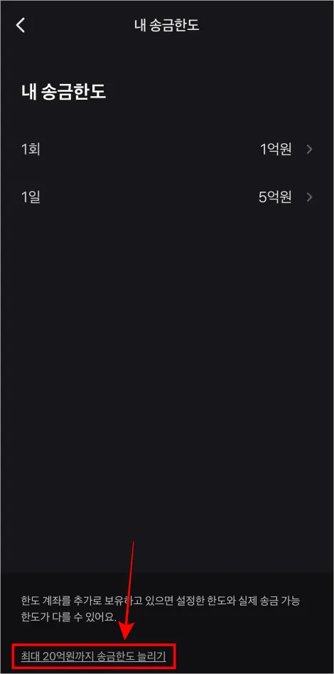 내 송금한도 화면 하단의 '최대 20억원까지 송금한도 늘리기'를 선택