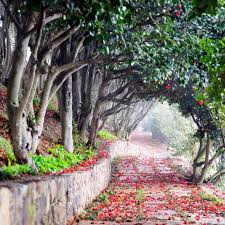 통영 가볼 만한 곳