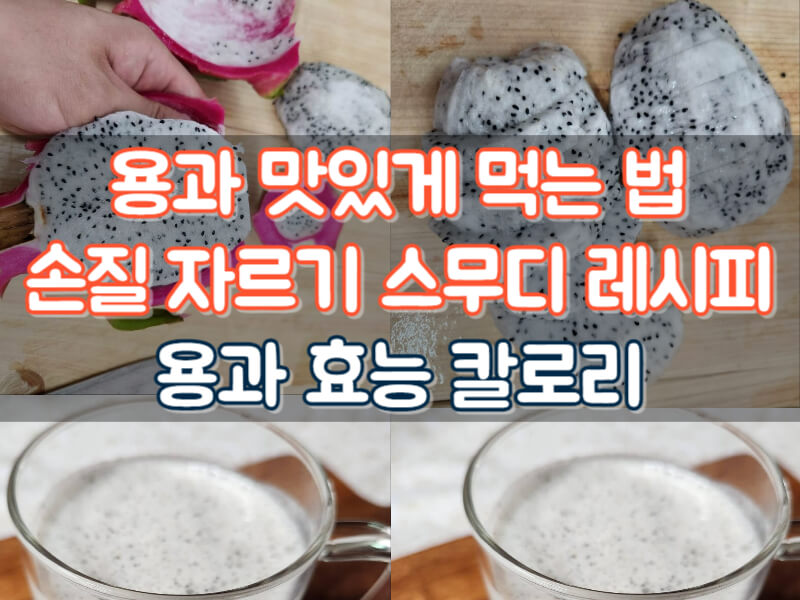용과 효능 자르기 손질 맛있게 먹는법 용과 스무디 효능 칼로리 레시피