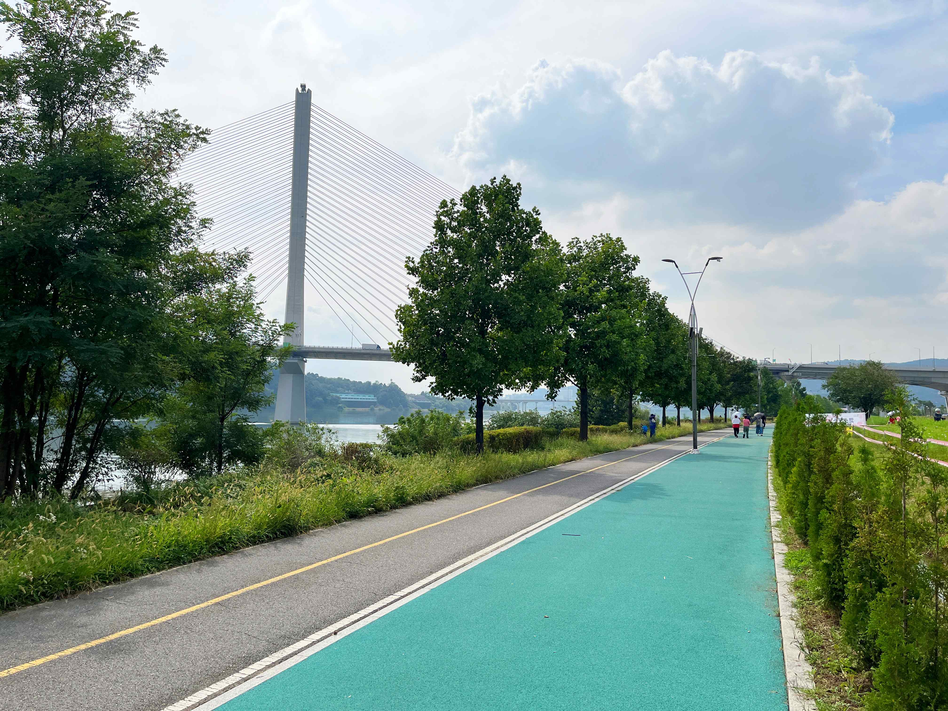 구리시민공원 코스모스