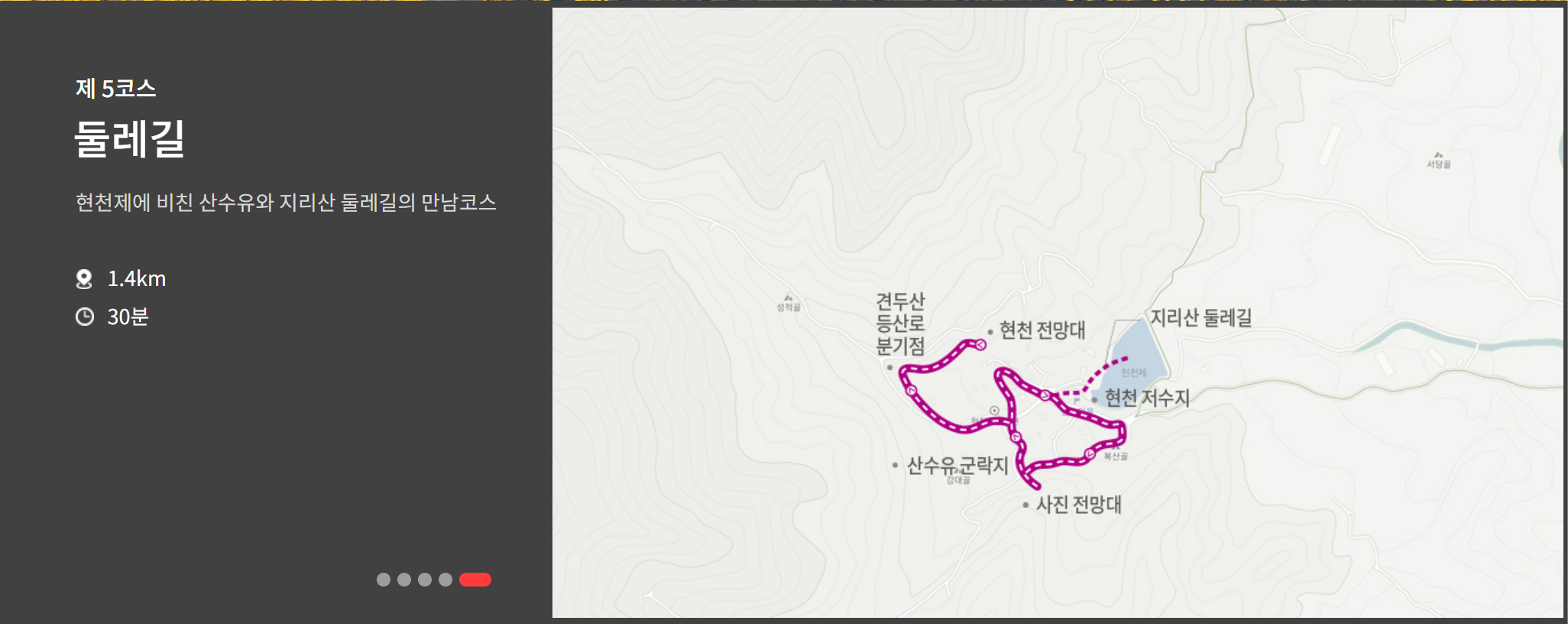 2023 구례 산수유축제 산수유길