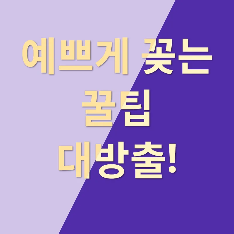오색 꼬치전_3