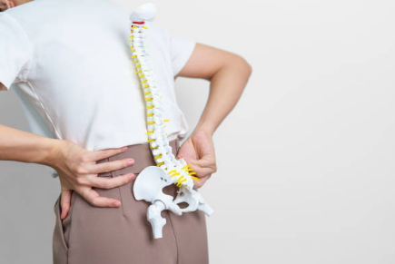 골다공증 증상, 수치, 골다공증에 좋은 음식 총정리 (2024ver)