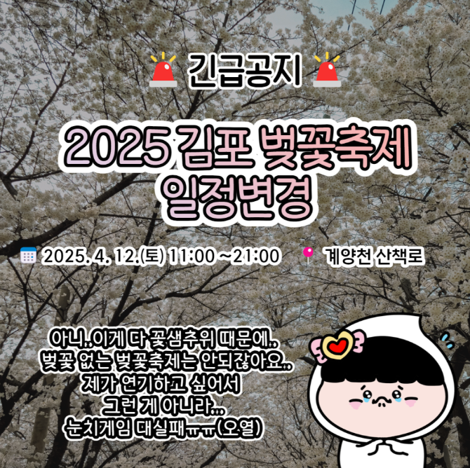 김포 계양천 벚꽃 축제