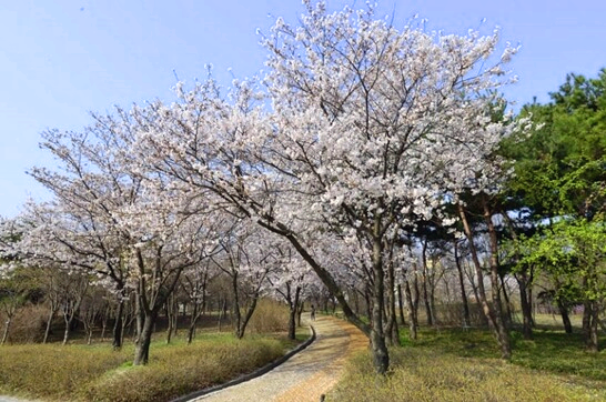 한밭수목원-대전-주변-가볼만한곳-추천