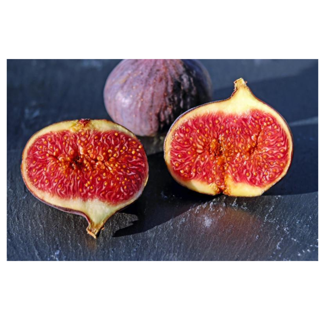 무화과와 관련된 사진입니다.