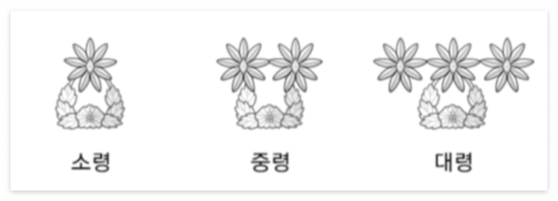 군대 계급 서열 알아보기