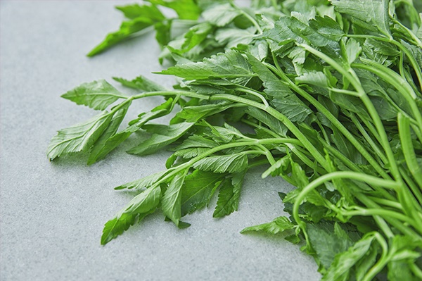 칼륨이 많은 음식