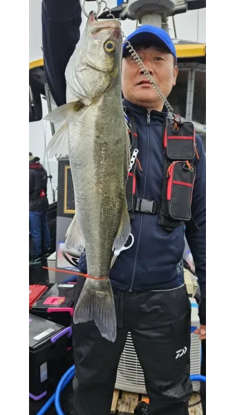 5월 쏘가리 금어기 시작 전국 금지 기간 완벽 정리와 낚시 규정_14