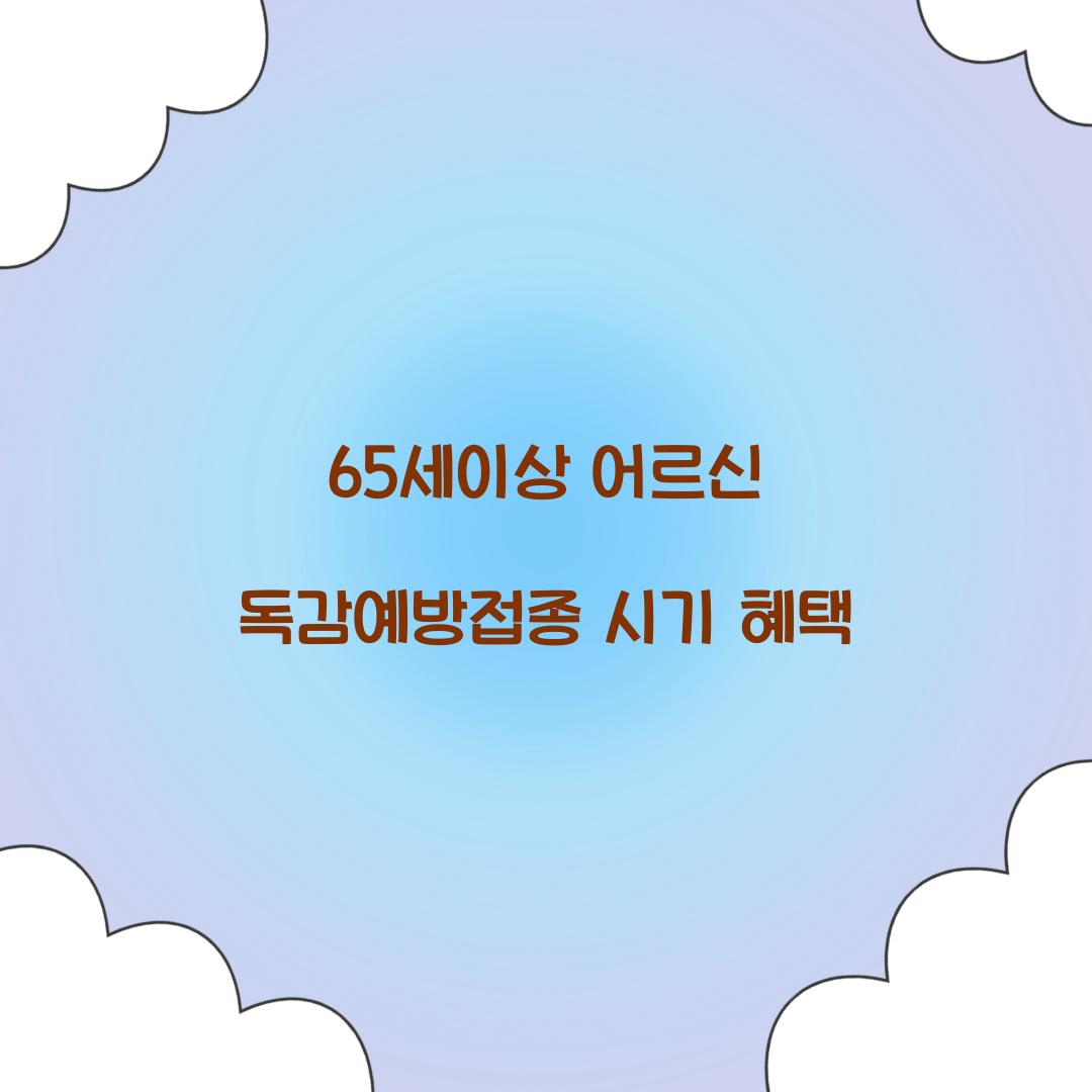 65세이상 어르신 독감예방접종