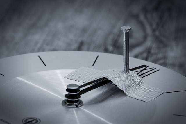 져속노화연구 열풍