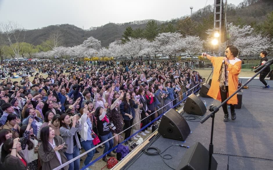 [4월 축제]2025 대덕물빛축제｜벚꽃축ㅈ, 점등시간, 일정, 기간, 공연, 프로그램