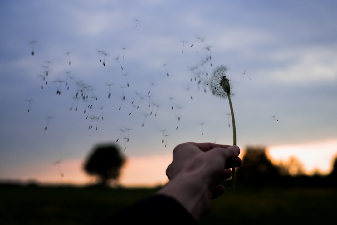 Wind
