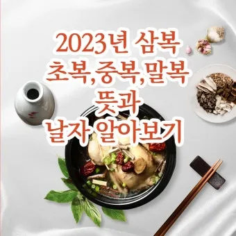 2025년 초복 중복 말복 날짜별 건강 관리법 및 보양식 정리_18