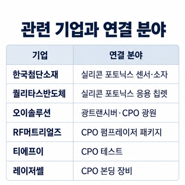 한국첨단소재 퀄리타스반도체 오이솔루션 RF머트리얼즈 티에프이 레이저쎌의 연결 분야를 표로 정리한 이미지