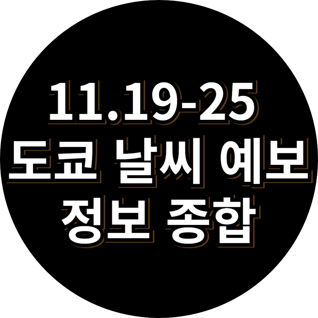 11월 도쿄 날시 종합