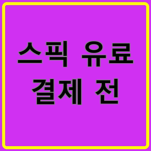 스픽 유료 결제 전이라고 쓰여있는 텍스트 이미지