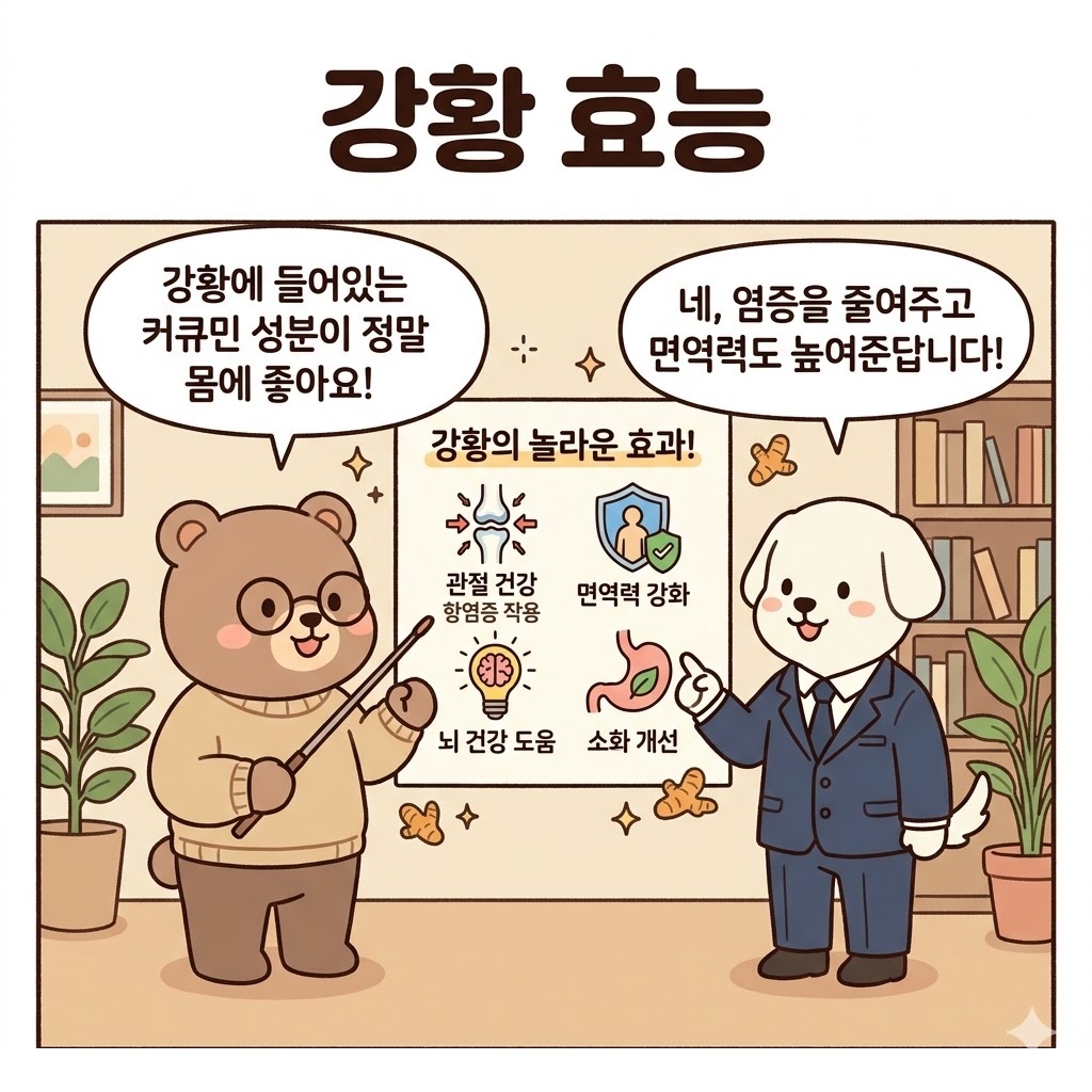 강황 효능, 먹기 전 알아야 할 핵심 기준과 주의할 점