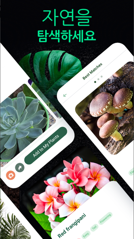 식물이름 찾기 앱, 식물검색