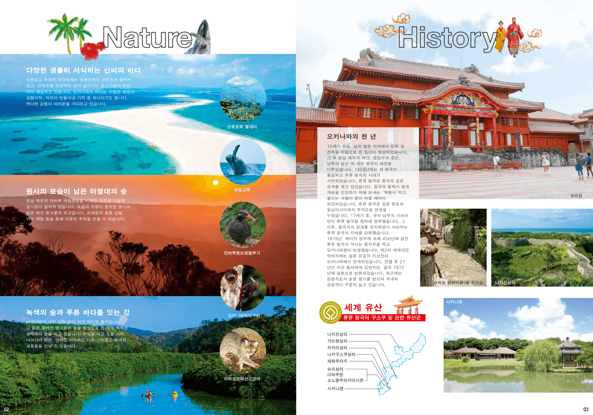 오키나와의 자연과 역사