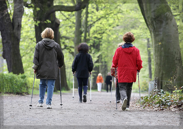 운동과 치매예방