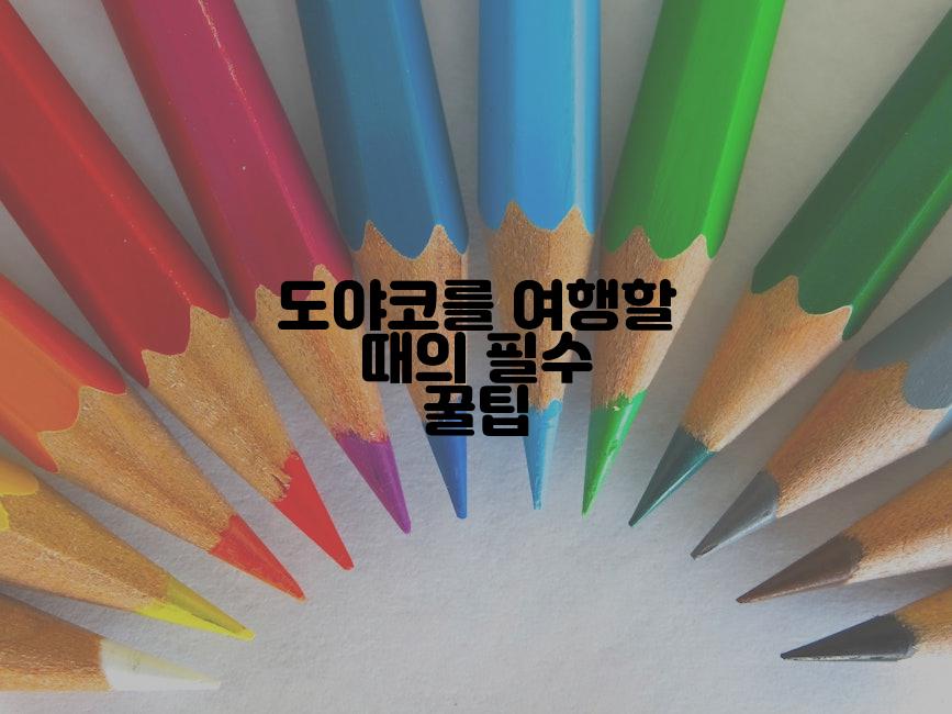 도야코를 여행할 때의 필수 꿀팁