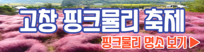 고창 핑크뮬리 축제 명소