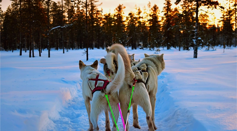 1. 건설현장 인력관리의 중요성