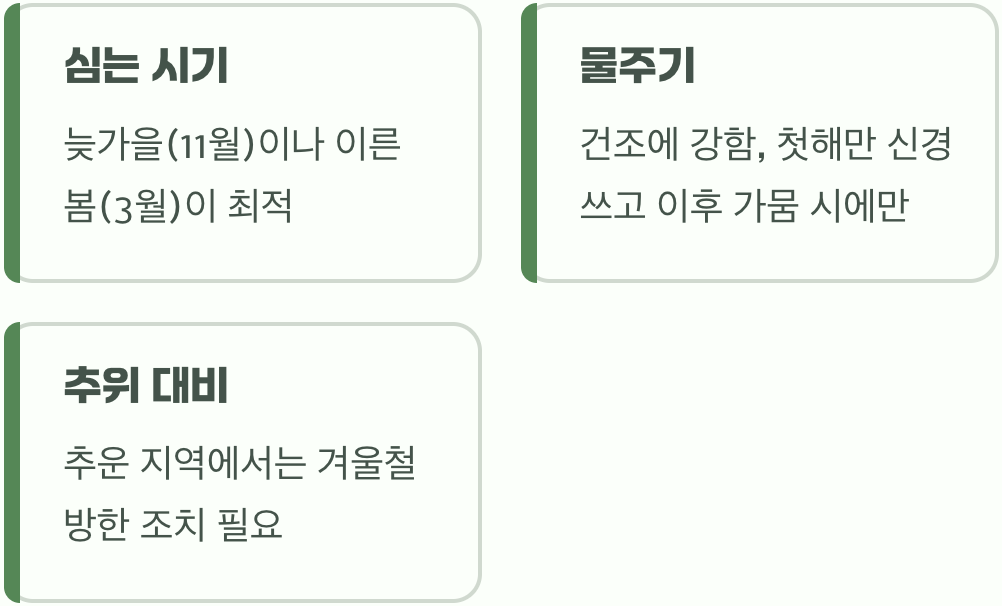 우리 집 배롱나무, 왜 꽃이 안 필까요? (원인 분석)