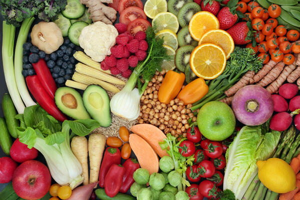 저속노화의 식단과 레시피