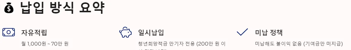 청년도약계좌 납입방식 요약