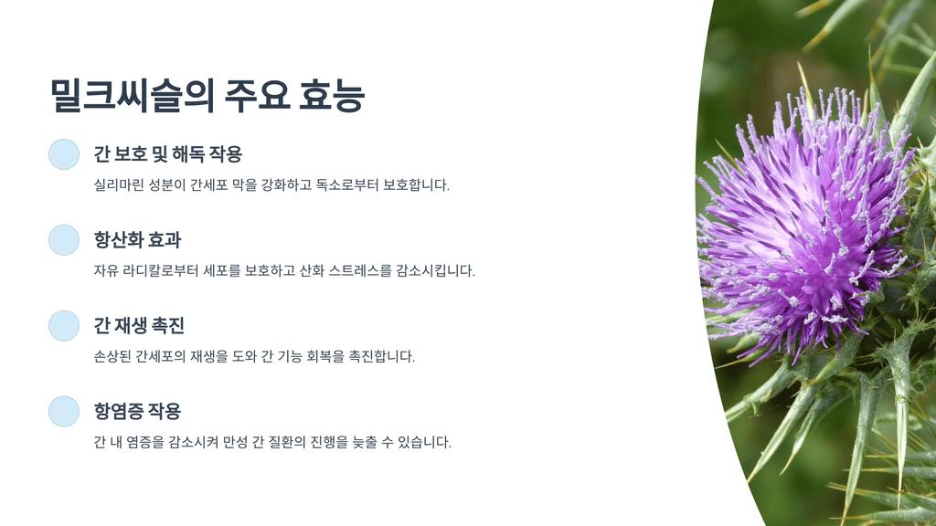 밀크씨슬의 주요 효능